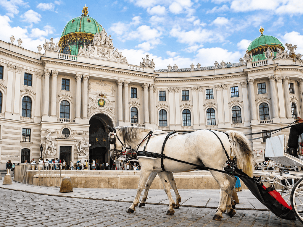 White fiaker horses in front of Vienna Hofburg Palace